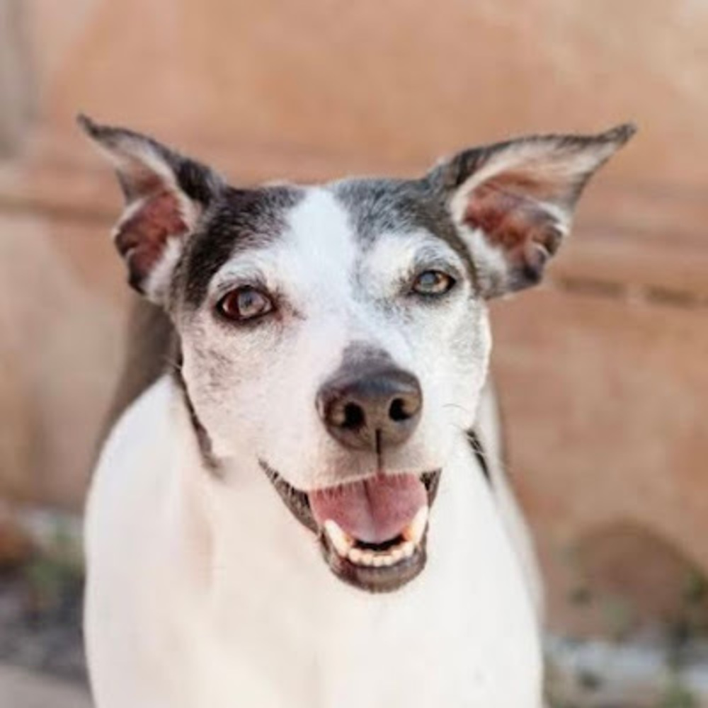 Meet your Posher, Elijah